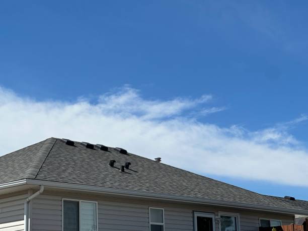 Best Roof Coating and Sealing  in Pato, WA